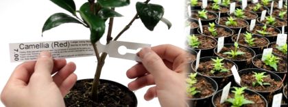 Pre-Printed Nursery Tree Tags and Pot Stakes